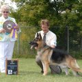 Best Of Breed, AOE Select Ex. Ch. Kaleef's Joshua V Kenlyn HT TC