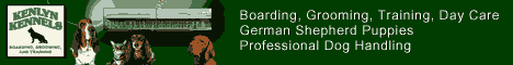 GSDCW Advertisers