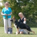<p>Best Puppy, Laugh, Laugh, Laugh of Edan</p>