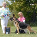 Reserve Winner's Bitch, Scher-Lo's Ms. B. Havin