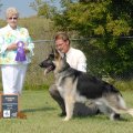 <p>Winner's Dog, Marneet's Bon Jovi</p>