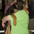 Puppy Love