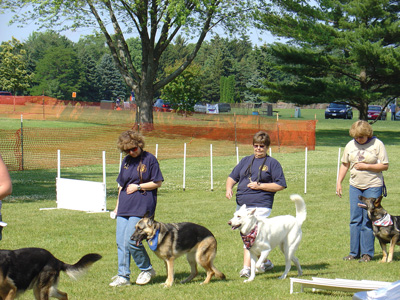 PETS Demo at New Berlin 4th of July festivities